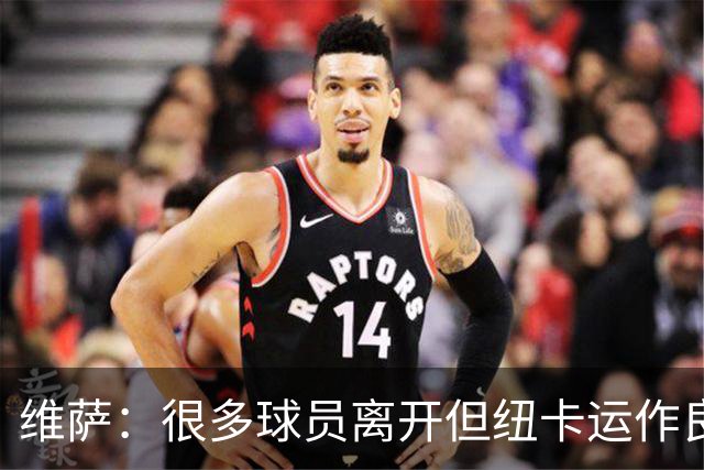 维萨：很多球员离开但纽卡运作良好；雅伊斯勒是最佳引援